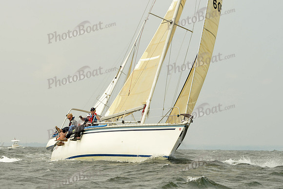 2015 Vineyard Race A 203