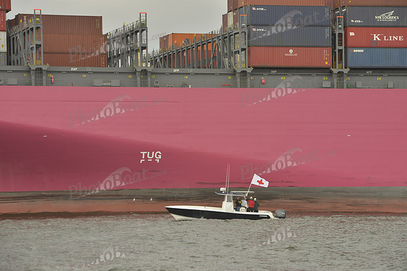 2019 Charleston Race Week B_0429