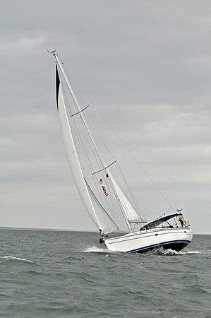 2009 J105 NAs D 1241