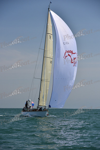2019 Figawi_1181