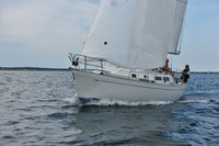 2019 Around Marthas Vineyard A_0068
