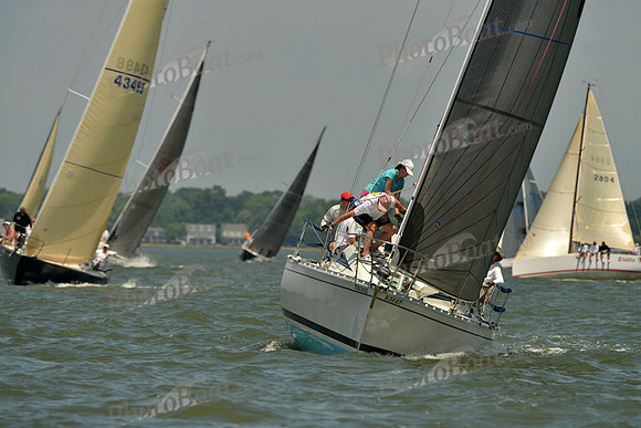 2016 Southern Bay Race Week F_1045