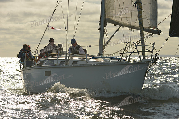2015 Vineyard Race C 051