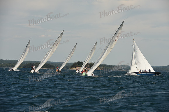 2016 Chester Race Week A_1176