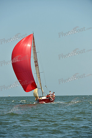 2015 Southern Bay Race Week C 1358