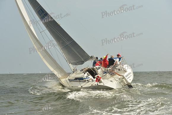 2015 Vineyard Race A 1181