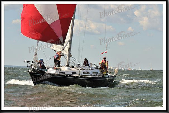 proof_2010_Vineyard_Race_1115