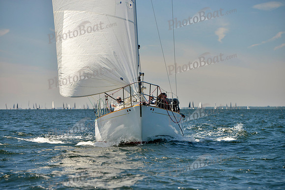 2017 Vineyard Race A_0403