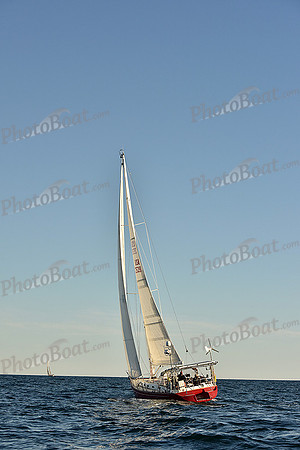 2016 Newport Bermuda Race_2411