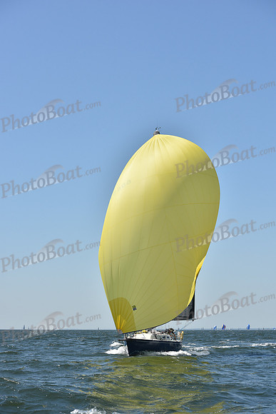 2019 Vineyard Race A_0942