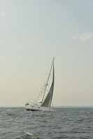 2015 Vineyard Race B 440