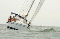 2012 Cape Charles Cup A 1384