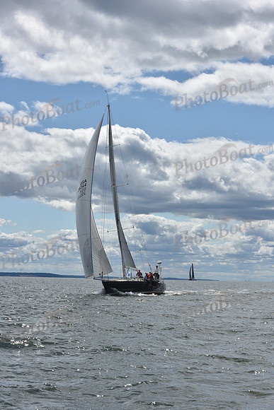 2021 Vineyard Race A 1841