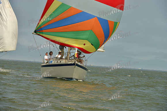 2016 Southern Bay Race Week B_0168