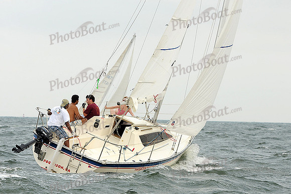 2012 Cape Charles Cup A 163