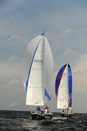 2013 Vineyard Race A 884