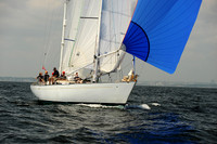 2013 Vineyard Race A 994