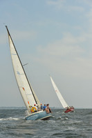 2015 Vineyard Race A 286