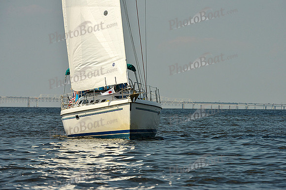 2015 Gov Cup A 495