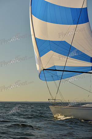 2015 Vineyard Race C 801