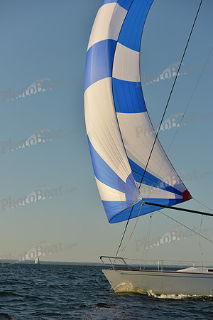 2015 Vineyard Race C 803