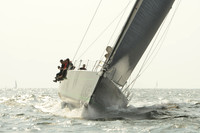 2015 Vineyard Race B 563