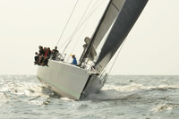 2015 Vineyard Race B 564