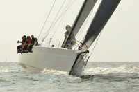 2015 Vineyard Race B 566