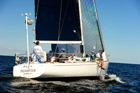 2014 Vineyard Race A 1673