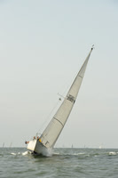 2015 Vineyard Race A 382