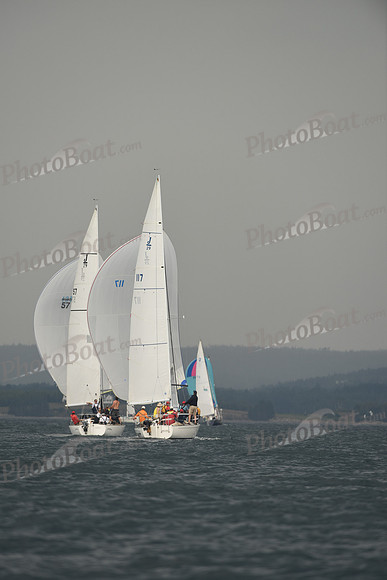 2016 Chester Race Week D_0753