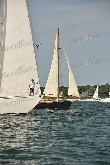 2018 Vineyard Cup A_0050