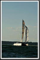proof_2010_Vineyard_Race_1779