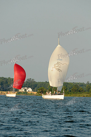 2012 Gov Cup B 246