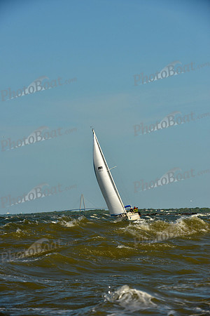 2016 Charleston Race Week C 0054