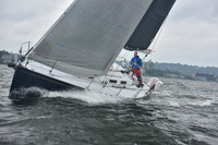 AMC_3446