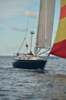 2016 Vineyard Race A_0455