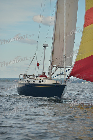 2016 Vineyard Race A_0455