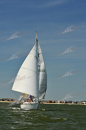 2013 Southern Bay Race Week D 866