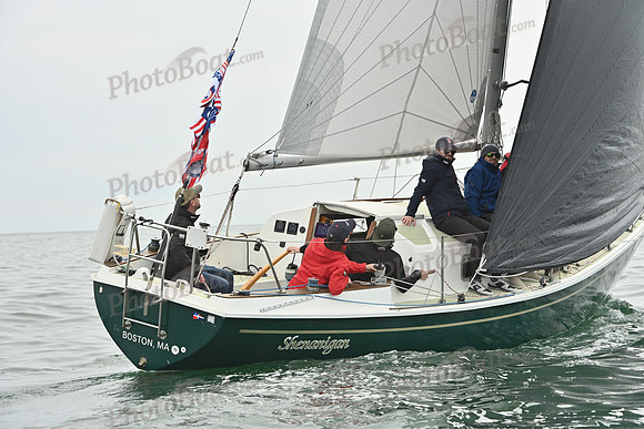 2026 FIGAWI 210