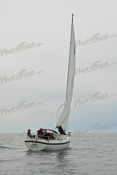 2026 FIGAWI 231