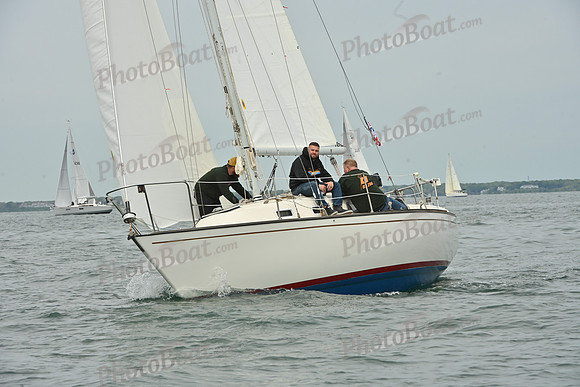 2026 FIGAWI 264