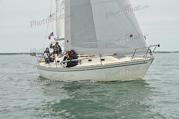 2026 FIGAWI 294
