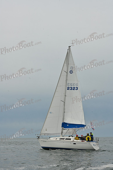 2026 FIGAWI 81