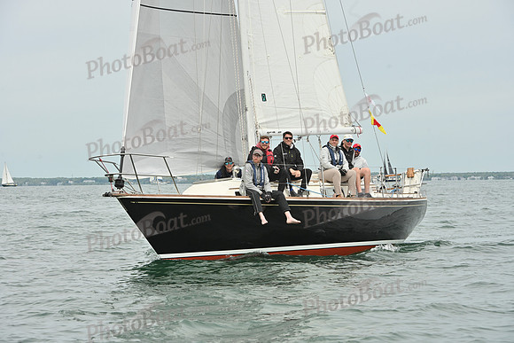 2026 FIGAWI 337