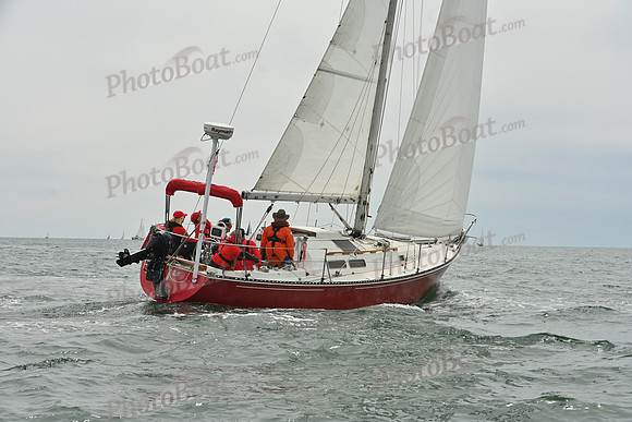 2026 FIGAWI 779