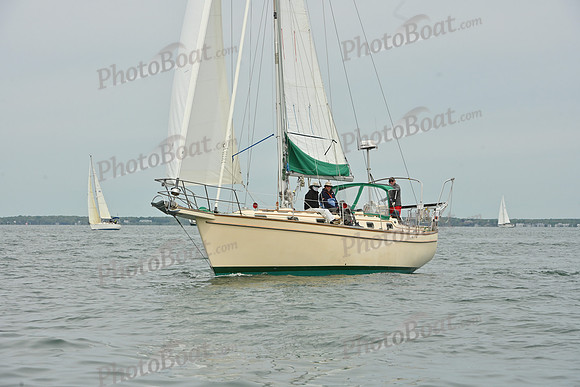 2026 FIGAWI 356