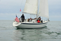 2026 FIGAWI 619