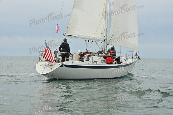 2026 FIGAWI 619