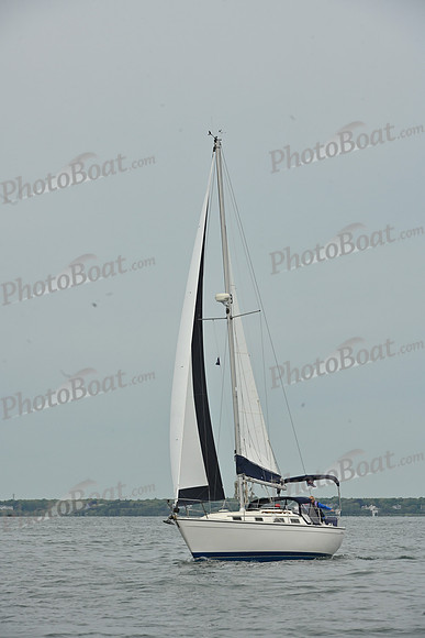 2026 FIGAWI 38